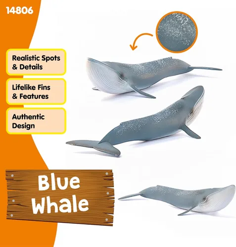 Vista 5 de Schleich Wild Life - Figurina realista de ballena azul, juguete de animal acuático auténtico y altamente detallado, duradero para la educación