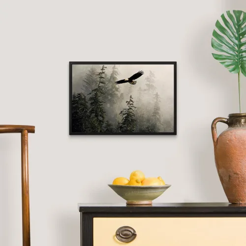Vista 4 de CANVAS ON DEMAND Lienzo decorativo para pared, diseño de águila calva volando a través de brumoso Tongass Nat Forest Southeast Alaska por John Hyde