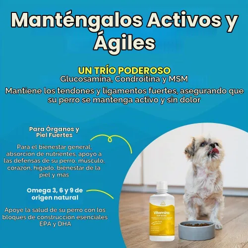 Vista 8 de Vitaminas y suplementos 100 % naturales para perros – Multivitamina líquida para perros – Vitaminas para perros mayores – Multivitaminas para perros