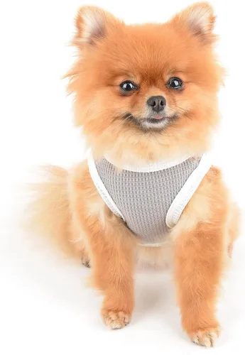 Vista 3 de SMALLLEE_LUCKY_STORE Linda camiseta de punto gofre con oso para cachorros, para perros pequeños, medianos, gatos, niños y niñas, camiseta elástica