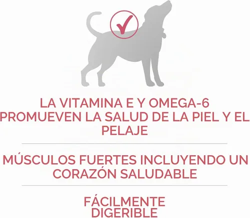 Vista 4 de Purina ONE Plus Skin & Coat - Alimento seco para perros con estómago sensible, bolsa de 8 libras Elaborado con salmón real, con vitamina E