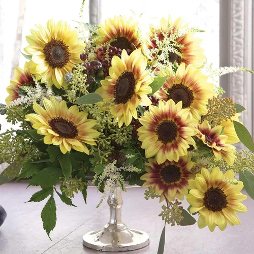 Vista 55 de Eden Brothers Semillas de girasol - Autumn Beauty