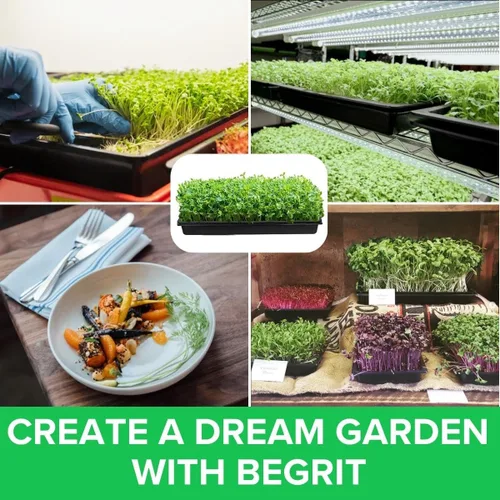 Vista 5 de BeGrit Microgreen Seed Starter - Bandejas de cultivo de semillas poco profundas, planos de germinación no estándar, bandeja 1015 sin agujeros