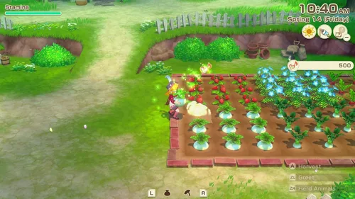 Vista 8 de Story of Seasons Grand Bazaar Premium Edition Nintendo Switch