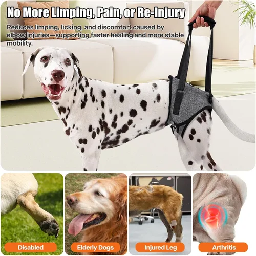 Vista 4 de Arnés para perro mediano y grande, arnés de elevación que proporciona apoyo con atrofia muscular y problemas articulares para mascotas artríticas