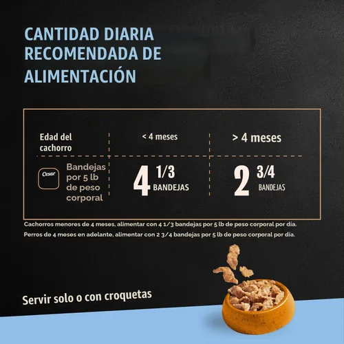 Vista 5 de Cesar Puppy Filets in Salsa Alimento húmedo para perros, pollo, 3.5 onzas
