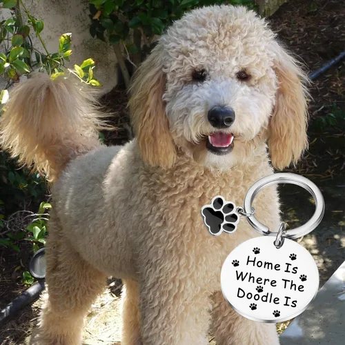 Vista 7 de PLITI Golden Caniche Regalos Perro Mamá Regalos Perro Papá Regalos Perro Regalo Perro Amante Regalo Mascota Padres Regalo