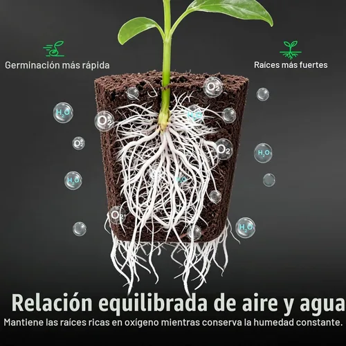 Vista 2 de VIVOSUN Enraizador de semillas, tapones de inicio de plantas, 40 cubos