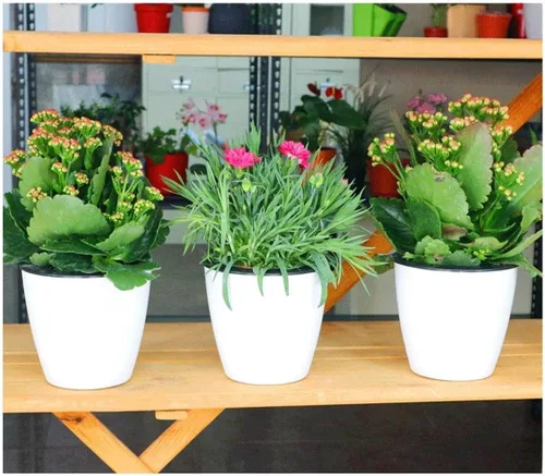 Vista 2 de 6 macetas de riego automático de 3.5 pulgadas, macetas blancas, plantas de flores, mini maceta pequeña, para todas las plantas, hierbas, violetas
