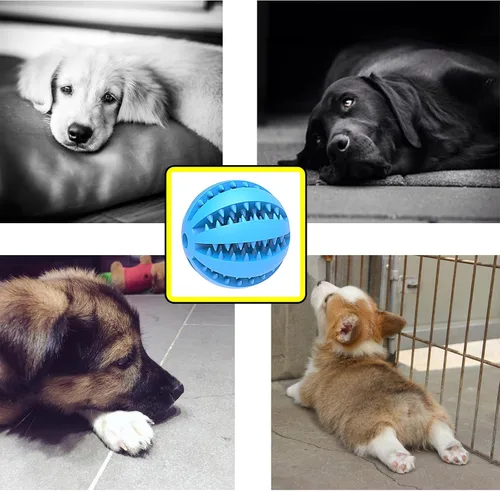 Vista 6 de Engorgio Juguetes interactivos para masticar perros, ayudas de entrenamiento para cachorros, dispensador de golosinas de rompecabezas con cuerda