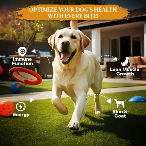 Vista 2 de Healthy Dogma - Alimento deshidratado para perros PetMix - Cena de carne
