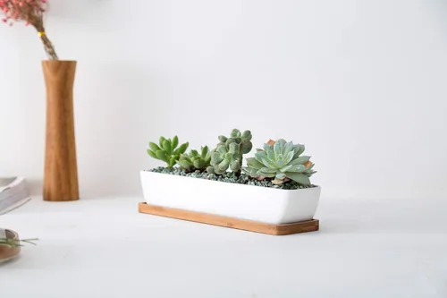 Vista 4 de Sea Star - Maceta moderna rectangular minimalista de cerámica blanca de 10 pulgadas para plantas suculentas para oficinas, escritorios, ventanas