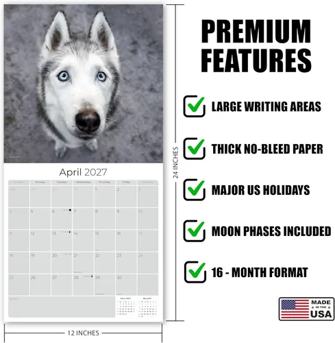 Vista 5 de Razas de Perros 2017 SIBERIAN HUSKY