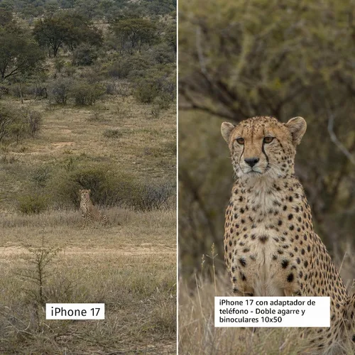 Vista 6 de El adaptador universal para digiscoping de doble agarre conecta todos los teléfonos inteligentes a prismáticos, telescopios de visión, telescopios