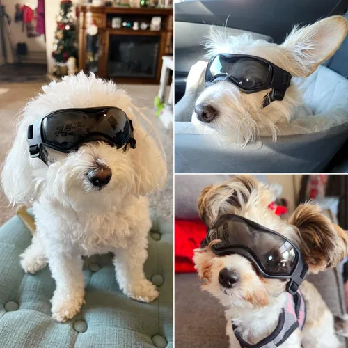 Vista 2 de NAMSAN - Lentes de sol para perros pequeños, protección UV, protección ocular para perros de razas pequeñas, gafas de conducción para perros que