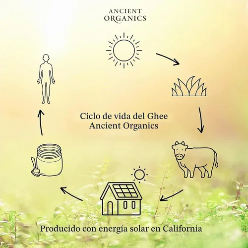 Vista 6 de Ancient Organics Ghee salado, sin gluten, kosher, 9 onzas (paquete de 1)