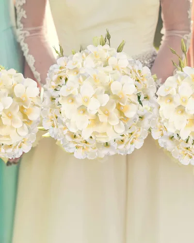 Vista 5 de Auihiay 12 piezas de hortensias artificiales de seda con tallos para decoración de bodas, hogar, jardín, fiestas (champán)