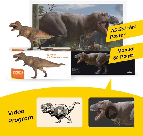 Vista 3 de PNSO- Series de dinosaurios de museos y modelos de animales prehistóricos.
