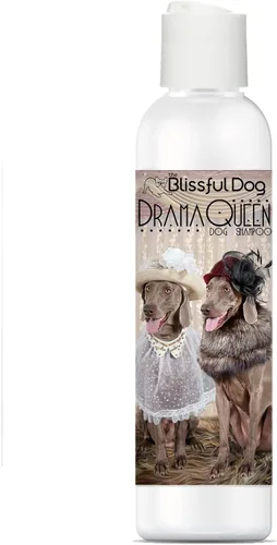 Vista 16 de The Blissful Dog Champú Belgian Malinois Drama Queen, 4 oz.