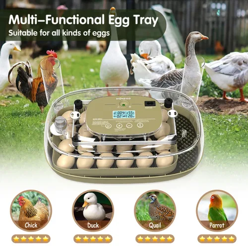 Vista 7 de Incubadora de 24 huevos con giro automático, control de temperatura y humedad, vela LED para huevos y adición automática de agua, para incubar
