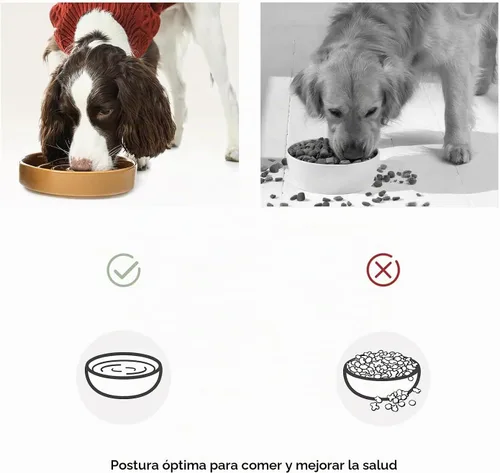 Vista 7 de Cuenco de cerámica para perros de alimentación lenta, albaricoque, mediano Olas-Albaricoque
