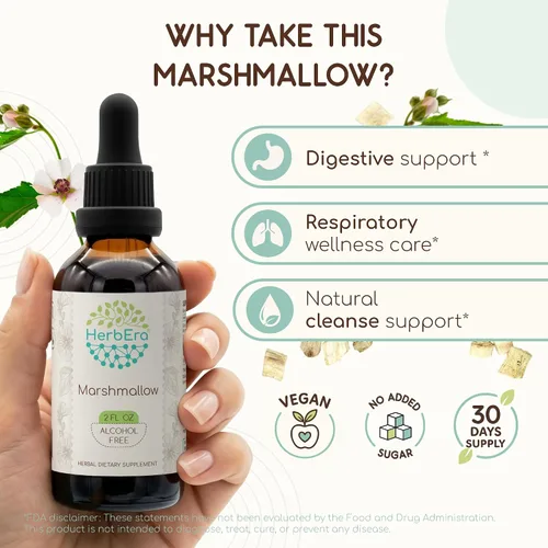 Vista 2 de HerbEra Marshmallow B60 - Tintura de extracto de hierbas sin alcohol, gotas líquidas concentradas de malvavisco natural (Althaea Officinalis)
