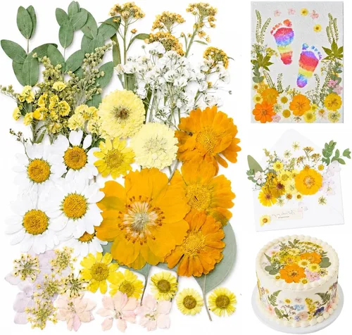 Vista 9 de Pressed Dried Flowers for Crafts, 50 Pcs Real Dried Flowers for Resin Romantic