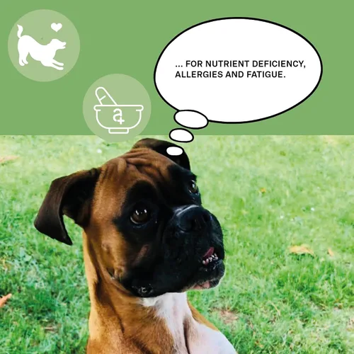 Vista 6 de animaux Nutrientes 365 para perros, vitaminas totalmente naturales, sistema inmunológico saludable, vitalidad, piel sana, pelaje brillante