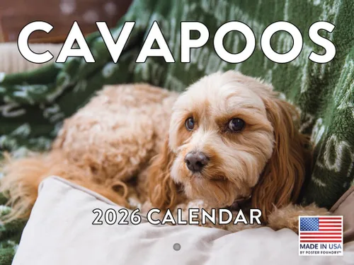 Vista 113 de Calendario mensual de pared Airedale Terrier Dog 2027 rojo (Airedale Terrier)