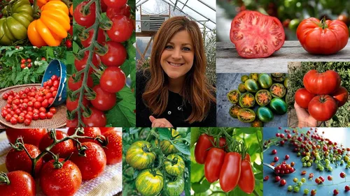Vista 7 de Espoma ¡Tomate concentrado orgánico de 16 onzas! Alimento vegetal - Fertilizante vegetal para todo tipo de tomates y otras verduras. Para jardinería
