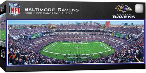 Vista 41 de Obras maestras NFL Estadio rompecabezas panorámica, 1000-Piece