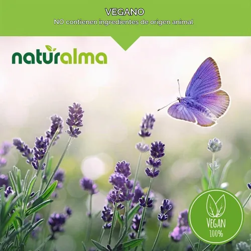 Vista 3 de Naturalma Hierba de San Juan (Hypericum perforatum) hierba con flores tintura sin alcohol - 4 onzas líquidas de extracto líquido en gotas