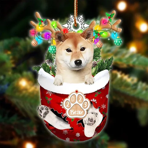 Vista 17 de NAZENTI Adorno Navideño de Bolsillo Personalizado de Affenpinscher en la Nieve, Adorno de Forma Acrílica de Perro, Adorno de Navidad 2023, Adorno