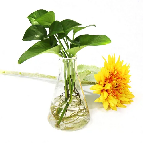 Vista 2 de ULAB Erlenmeyer - Juego de frasco de vidrio de boca estrecha, 34 onzas, 33.8 fl oz, borosilicato 3.3 con graduación impresa, paquete de 2, UEF1027