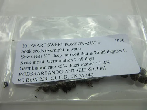 Vista 2 de UPC0764425786299 - Semillas de granada enana (Punica granatum) sin OMG, orgánico, cultivador estadounidense, 1056, paquete de 10 semillas