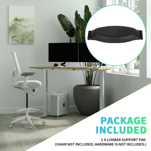Vista 6 de ECOTRIC Soporte lumbar compatible con Herman Miller Classic Aeron Negro