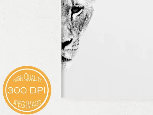 Vista 3 de Black and White Pair of Lions Prints Matching Mr and Mrs Set of 2 Prints Lion and Lioness Photo Print 11x14 Safari Wildlife Art Ready to Frame