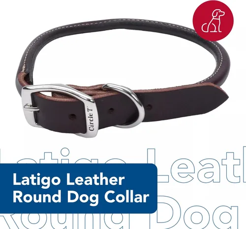 Vista 2 de Coastal Pet - Circle T - Collar redondo de cuero para perro con herrajes de latón macizo, Latigo, 1" x 22