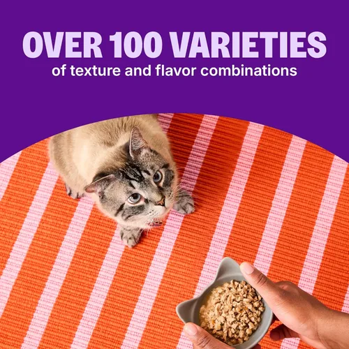 Vista 2 de Wellness CORE Signature Selects - Alimento húmedo enlatado grueso para gatos adultos, natural, rico en proteínas, sin granos, receta de carne de res