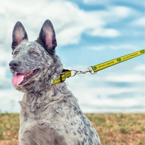 Vista 6 de John Deere Pet Strap - Correa para perros y gatos pequeña, brillante y colorida