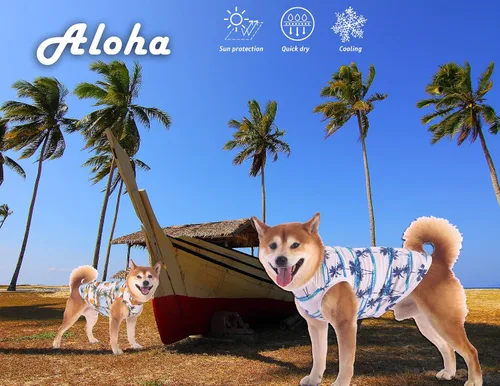 Vista 3 de Camisas hawaianas para perros, de secado rápido, de malla refrescante, de verano, con estampado de coco para perros pequeños, azul y amarillo, XS