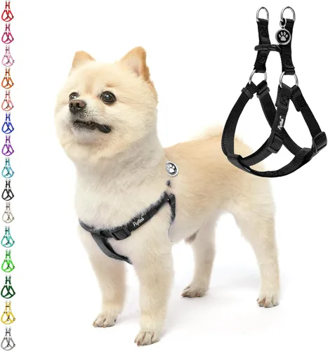 Vista 44 de Pupteck - Arnés para perros sin jalar, suave, ajustable, de nailon, talla básica, chaleco para cachorro, para caminar al aire libre con etiqueta