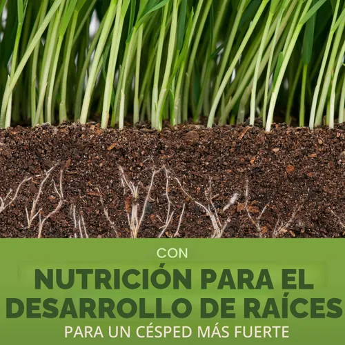 Vista 2 de Scotts Turf Builder - Mezcla de festuca alta para semillas de césped, duradera para resistir condiciones duras con nutrición para el desarrollo