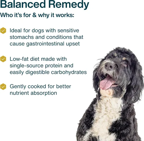 Vista 4 de JustFoodForDogs Pantry Fresh - Alimento húmedo para perros, comida completa o alimento para perros, para estómagos sensibles, remedio equilibrado