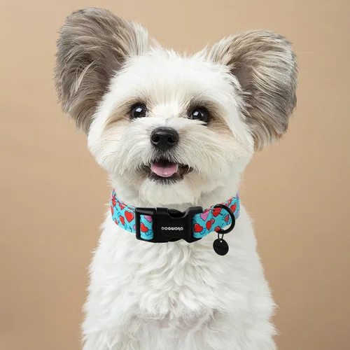 Vista 31 de DOGWONG Collar para perro de San Valentín, collar ajustable de algodón con corazón de caramelo azul, perfecto para perros pequeños a medianos