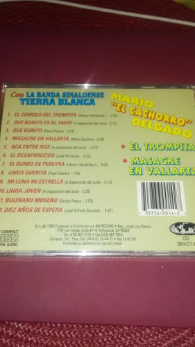 Vista 2 de Mario "El Cachorro Delgado con la banda sinalonense Tierra Blanca