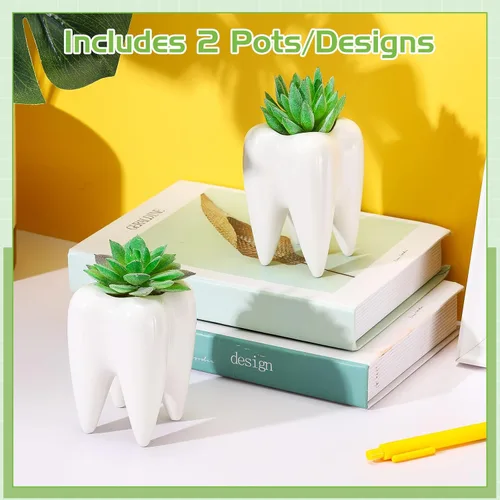 Vista 7 de 2 macetas en forma de dientes, de cerámica dental, estilo moderno, macetas de cactus blanco, para bonsái, maceta pequeña y bonita para suculentas