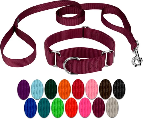 Vista 21 de Country Brook Design - Collar de perro de nailon Martingale y correa de doble asa-Negro-S