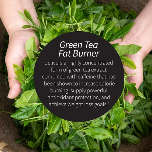 Vista 3 de Applied Nutrition Quemador de grasa de té verde - 30 geles blandos líquidos