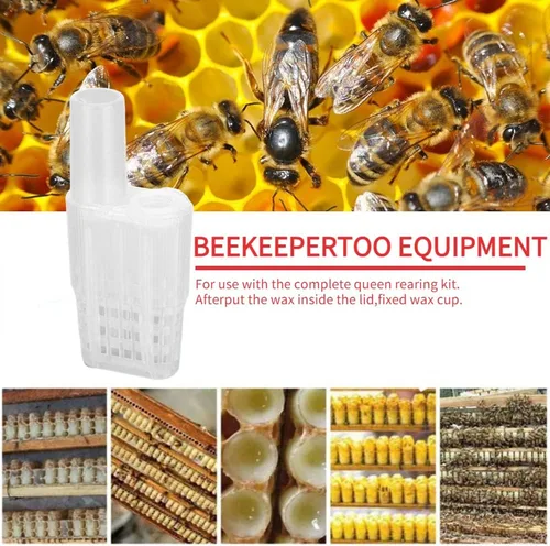 Vista 2 de Queen Bee - Taza de cría de abejas, 46 unidades, ligera, práctica, jaula de abeja para apicultura, apicultura, soporte de vasos de celda de reina